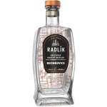Radlík Bezinkovice 45% 0,5 l (holá láhev) – Zboží Dáma