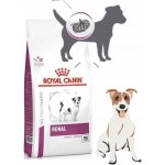 Royal Canin Veterinary Diet Dog Renal Small dog 3,5 kg – Hledejceny.cz