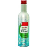 Castrol Engine Shampoo 300 ml – Zbozi.Blesk.cz