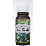 Saloos Litsea cubeba éterický olej 50 ml – Hledejceny.cz