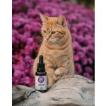 Ecopets Jemná kapka pro kočky a králíky proti klíšťatům a blechám 30 ml – Sleviste.cz