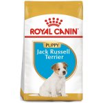 Royal Canin Jack Russell Junior 3 kg – Hledejceny.cz