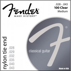 Fender 100 Clear/Silver