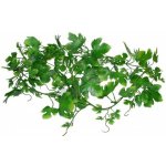 Lucky Reptile Jungle Vine Gape Leaf Vine 200 cm – Zbozi.Blesk.cz