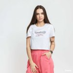 Reebok Classic F Big Logo Tee melange světle šedé – Hledejceny.cz