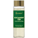 Scentics Aroma Olej EUCAMINT FIR 100 ml – Hledejceny.cz