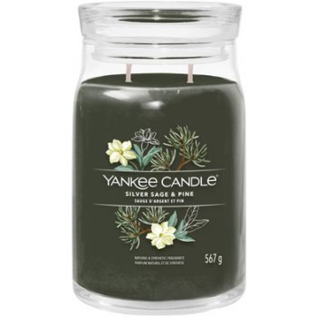 YANKEE CANDLE Signature Silver Sage & Pine 567 g