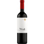 Chateau Rúbaň Hron 2023 14,5% 0,75 l (holá láhev) – Hledejceny.cz