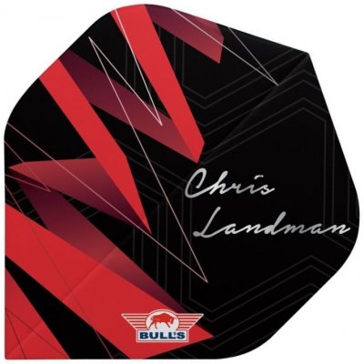 Bull's NL Player 100 - Chris Landman - BU-51021 – Hledejceny.cz