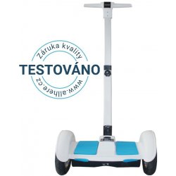 Mini segway 10