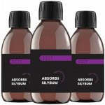 ABSORBii SILYBUM lipozomální ostropestřec mariánský 200 ml – Hledejceny.cz