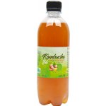 Stevikom Kombucha zázvor s limetkou 0,5 l – Zboží Dáma