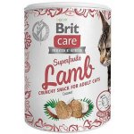 Brit Care Snack Superfruits Lamb Adult 100 g – Hledejceny.cz