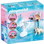 Playmobil 9353 Playmogram 3D Ledová královna s polární liškou – Zboží Živě