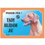 Dafiko Tabulka Tady hlídám! Rhodéský ridgeback 1ks – Zboží Mobilmania