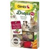 Krmivo pro hlodavce GIMBI DROPS GRAIN FREE Hlodavec mix 50 g