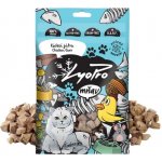LyoPro CAT Kuřecí srdce 50 g – Zbozi.Blesk.cz