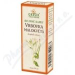 Grešík Vrbovka malokvětá bylinné kapky 50 ml – Zbozi.Blesk.cz