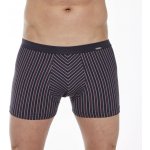 Cornette boxerky various mini 228/135 – Hledejceny.cz