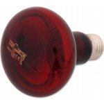 Repti Planet Infračervená žárovka 100 W – Zbozi.Blesk.cz