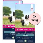 Eukanuba Adult Small & Medium Lamb & Rice 2 x 12 kg – Hledejceny.cz