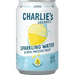 Cans Drink sparkling water 330 ml – Zboží Dáma