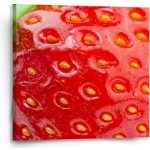 Sablio Obraz Detail jahody - 50x50 cm – Hledejceny.cz