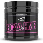 Pro Nutrition BCAA + HMB 200 tablet – Hledejceny.cz
