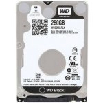 WD Black 250GB, WD2500LPLX – Sleviste.cz