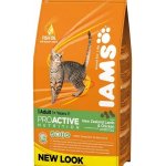 Iams ProActive Health Adult Original kuře 3 kg – Hledejceny.cz