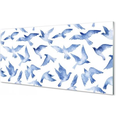 Obraz na skle malované ptáci 100x50 cm – Zboží Mobilmania