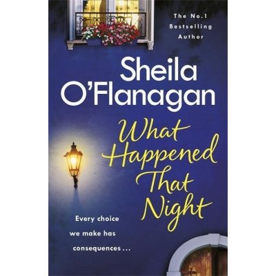 What Happened That Night - Sheila OFlanagan – Hledejceny.cz