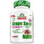 Amix Greenday ProVegan Grape Seed Extract 90 tablet – Hledejceny.cz