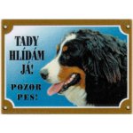Dafiko Tabulka bernský salašnický pes – Zbozi.Blesk.cz