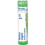 BERBERIS VULGARIS POR 5CH GRA 1X4G – Hledejceny.cz