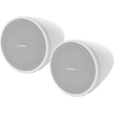 Bose DesignMax DM3P