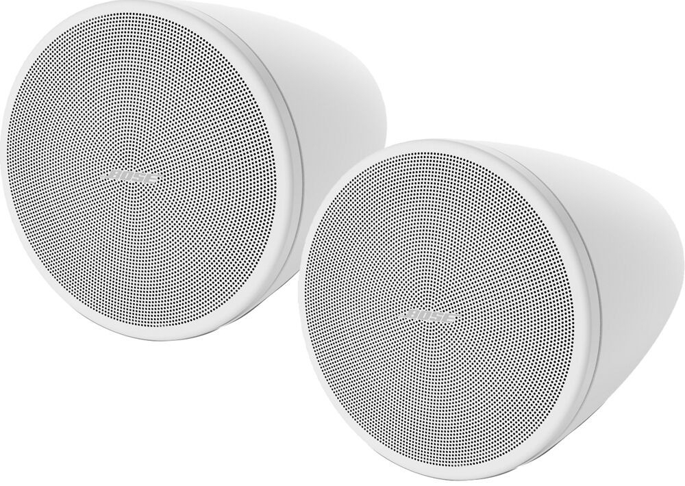 Bose DesignMax DM3P