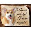 Autovýbava Sport hobby Cedulka Welsh Corgi Pembroke Piškoty 20 x 15 cm