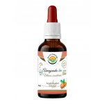 Salvia Paradise Ašvaganda Vitánie AF tinktura BIO 50 ml – Hledejceny.cz