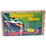 Lucky Reptile Sphagnum Moss - rašeliník 500g/25 l