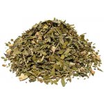 Bylík Paměť bylinková směs 100 g – Hledejceny.cz
