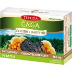 Čaga Reishi Rakytník antioxidant 60 kapslí – Hledejceny.cz
