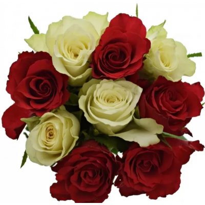 Kytice 9 míchaných růží AGATHA 50 cm – Zboží Dáma