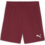 Puma teamGOAL Shorts – Zboží Mobilmania