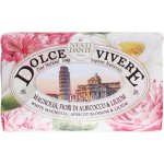 Nesti Dante Dolce Vivere mýdlo Pisa 250 g – Zbozi.Blesk.cz