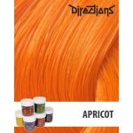 La Riché Directions 36 Apricot 89 ml – Zbozi.Blesk.cz