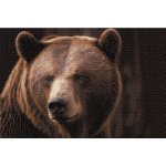 Vymalujsisam.cz Diamantové malování Medvěd grizzly 40 x 60 cm pouze srolované plátno Diamanty Čtvercové – Hledejceny.cz