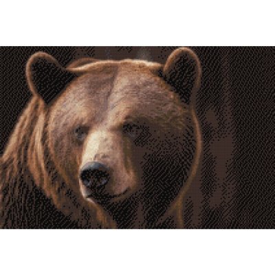 Vymalujsisam.cz Diamantové malování Medvěd grizzly 40 x 60 cm pouze srolované plátno Diamanty Čtvercové