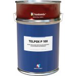 Barvy a laky Hostivař Vysoce odolná epoxidová základová barva TELPOX P100 - 5 kg - 0110 šedý – Zboží Mobilmania