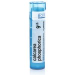 CALCAREA PHOSPHORICA POR 9CH GRA 1X4G – Hledejceny.cz